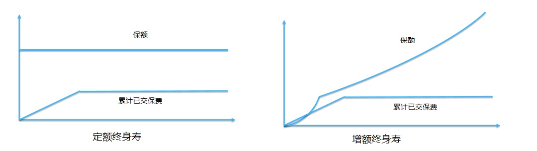 同樣的保障為什么我買(mǎi)的壽險(xiǎn)貴了10倍？