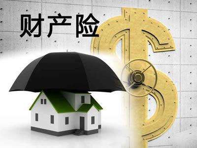 如何選擇財(cái)產(chǎn)保險(xiǎn)來(lái)降低財(cái)產(chǎn)損失？