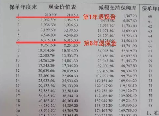 合同里的現金價值