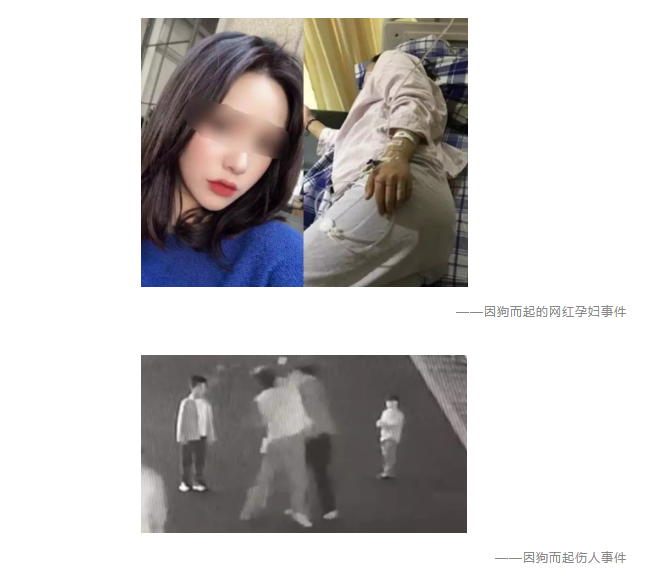 為什么不買保險(xiǎn)就不讓養(yǎng)狗？