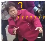 為什么不買保險(xiǎn)就不讓養(yǎng)狗？