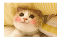 到底什么是保單貼現(xiàn)？