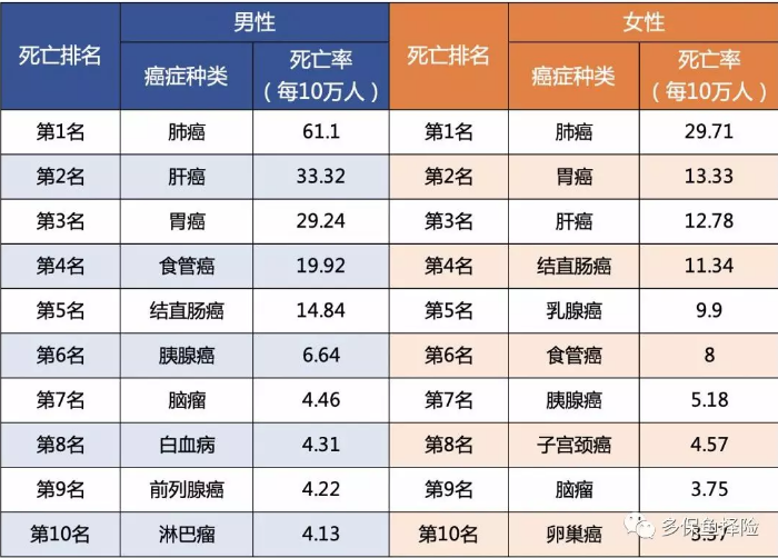 女性高發(fā)重疾怎么選？