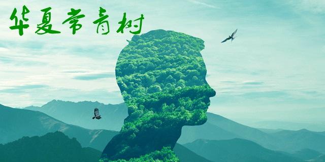 華夏長(zhǎng)青樹怎么樣 優(yōu)劣勢(shì)有哪些？